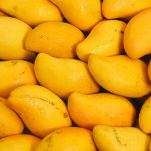 Mango butter in lip balm mango flavors
